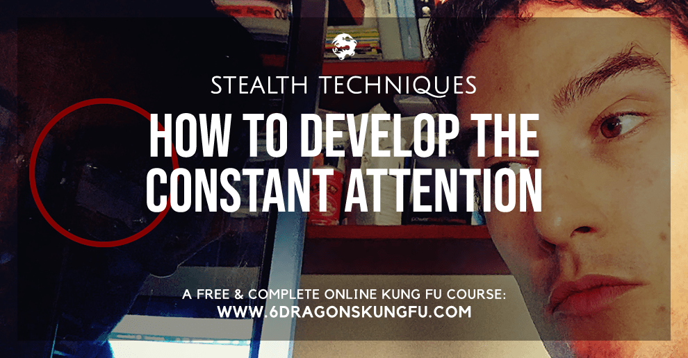 how-to-develop-the-constant-attention-6dragonskungfu-com