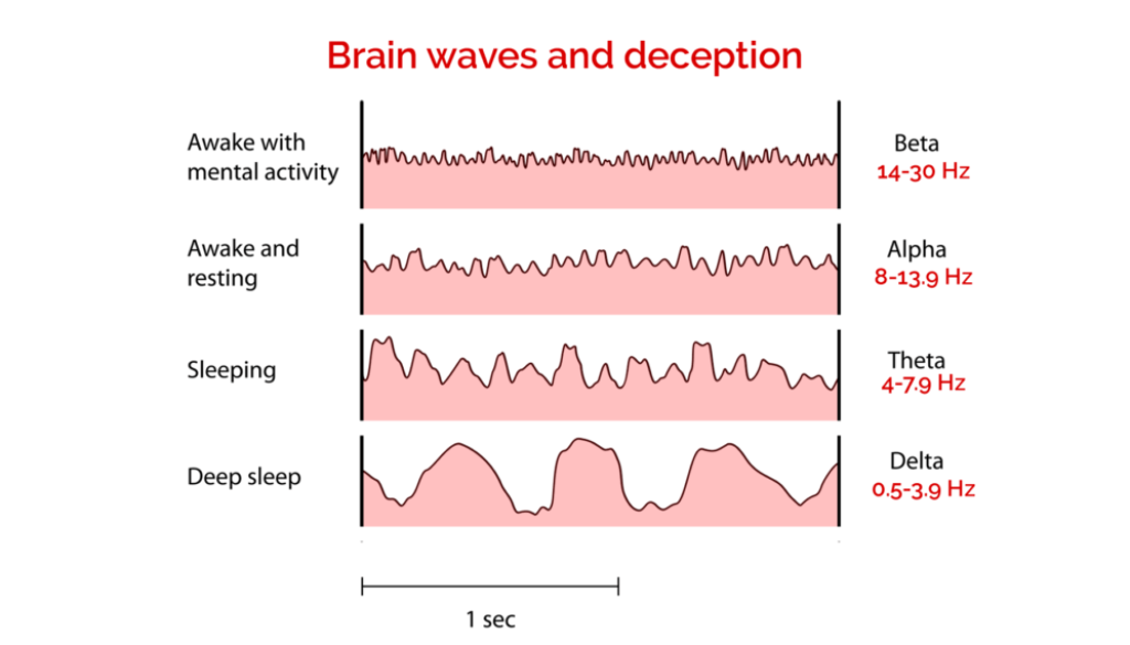 deception_and_brain_waves