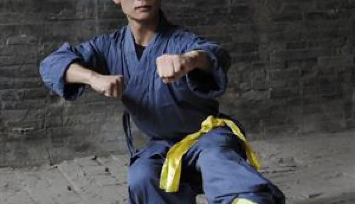 Shi Yan Ti: real master - 6DRAGONSKUNGFU.COM