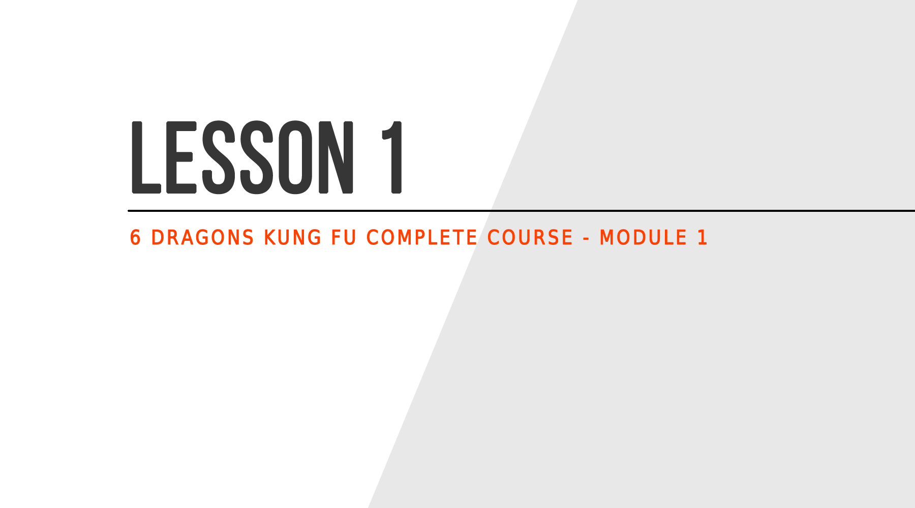 lesson-1-what-is-6-dragons-kung-fu-6dragonskungfu-com