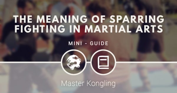 the-meaning-of-sparring-fighting-in-martial-arts-6dragonskungfu-com