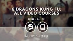 6 Dragons Kung Fu: all video courses