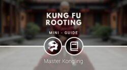 Kung Fu rooting [MINI-GUIDE]